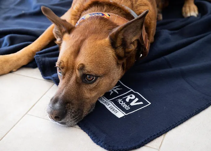 Rvhotels Golf Costa Brava